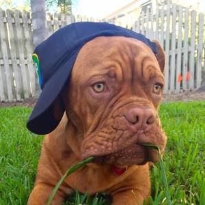 Meet your Posher, Bryan